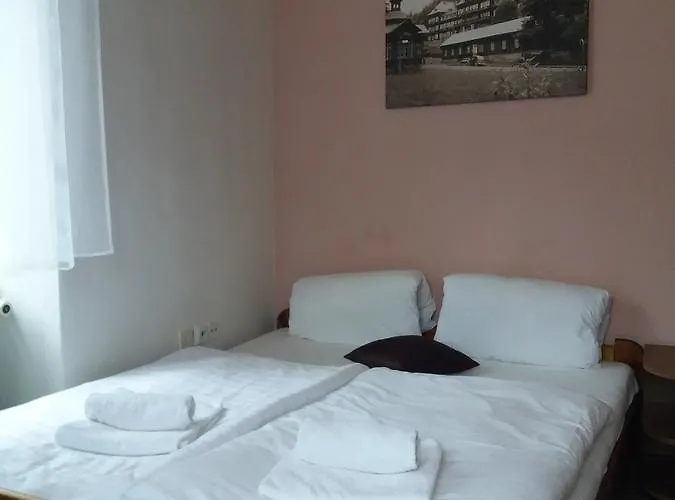 Hotel Dzban Jindrichov