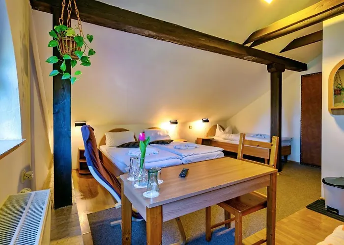 Hotel Dzban 3*